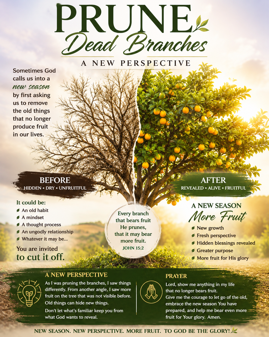 New Season – More Fruit